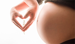 在盐城怎么做孕期亲子鉴定？在盐城做的孕期亲子鉴定准确吗